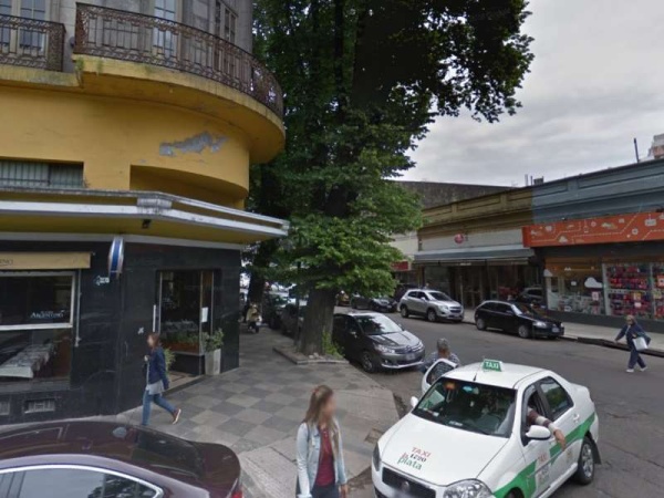 Un árbol inclinado es el terror de vecinos y comerciantes de 5 y 50