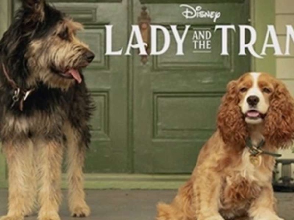 Disney confirmó el elenco del live action de &quot;La Dama y el Vagabundo&quot;