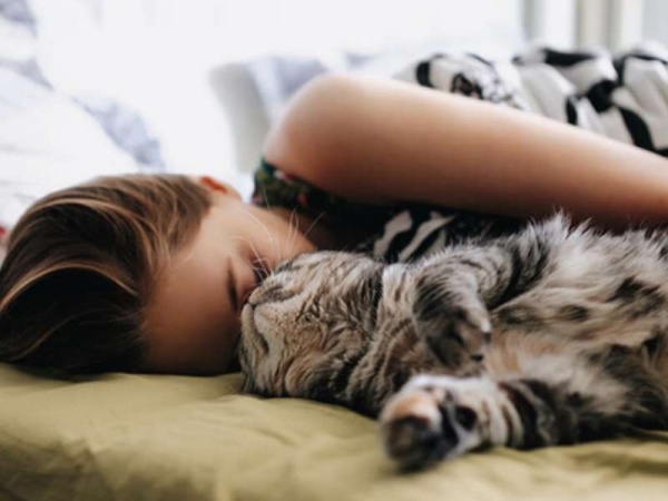 ¿Cuáles son las ventajas de dormir con tu gato?