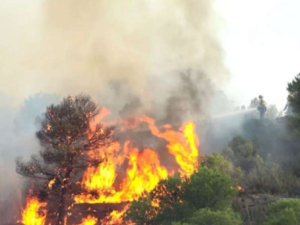 Voraz incendio forestal en C&oacute;rdoba: hay evacuados y a&uacute;n no logran controlar las llamas
