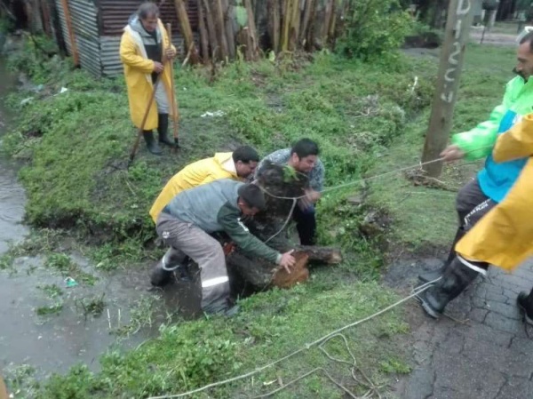 Denuncian boicot al sistema de desagues en Altos de San Lorenzo 