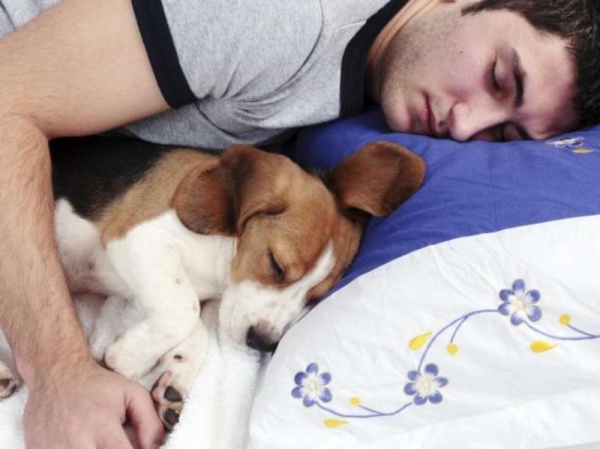 Dormir con tu perro es bueno para la salud