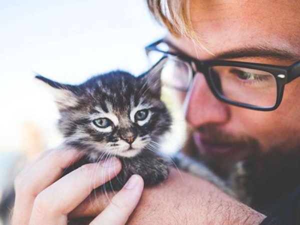 Según un estudio, tu gato tiene tu mismo carácter