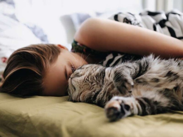 Las 8 ventajas de dormir con tu gato