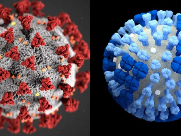 ¿Cuál es la diferencia entre gripe y coronavirus? 