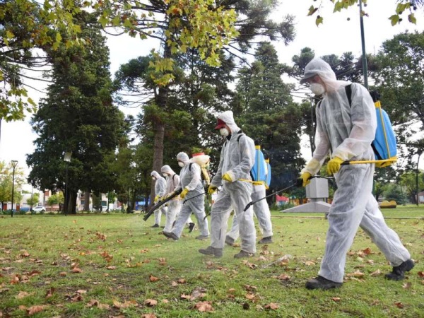 Dengue: el municipio platense reforzará la fumigación donde hubo casos sospechosos o positivos