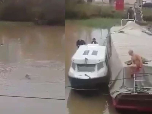 Video: Emocionante rescate a una perra ciega que se cayó al río en la Escuela Naval 