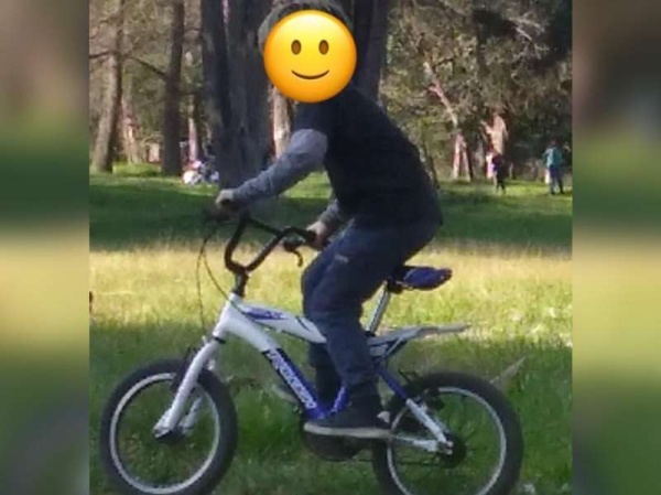 Indignación en La Plata: &quot;Un rata se llevó la bici de mi hijo&quot; 