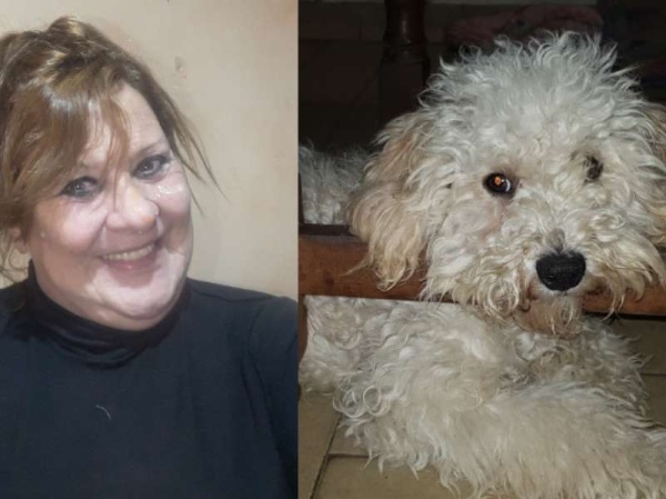 Desesperación en Berisso: se le perdió el perro, cobra una pensión por discapacidad y ofrece recompensa