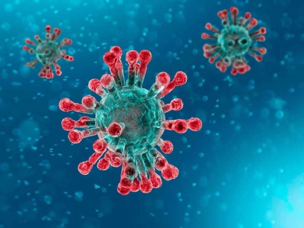 Descubren un remedio natural contra el COVID-19