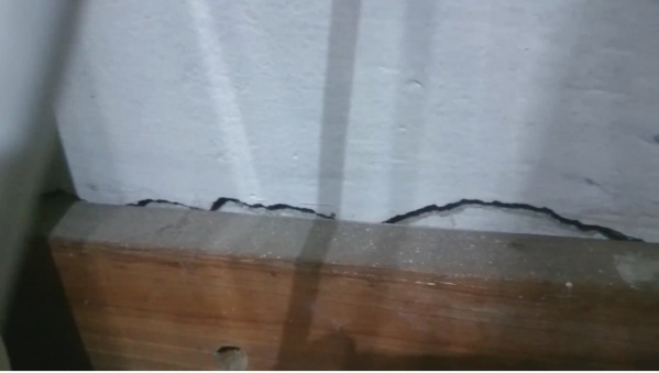 Vecinos de La Plata están con miedo porque su casa sufre "peligro de derrumbe" a causa del mal estado de su cuadra