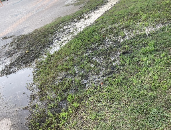 Enojo entre los vecinos por una gran p&eacute;rdida en el parque de 19 y 38