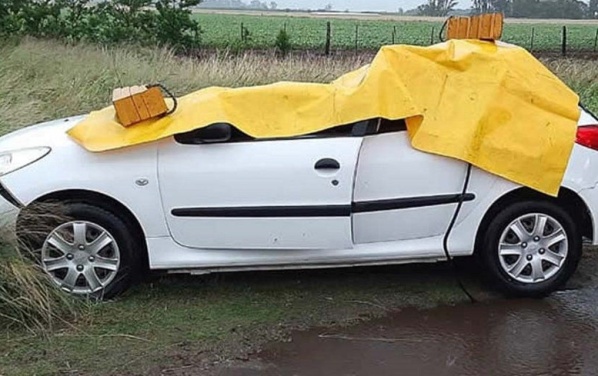Un árbol cayó sobre un auto y mató a una nena de 12 años en Daireaux