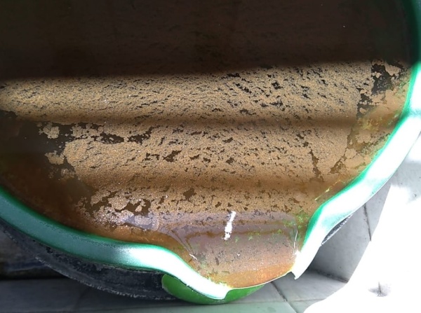 "Parece té": Un vecino de Barrio Norte de La Plata mostró cómo sale el agua de su vivienda