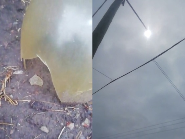 Un vecino de La Plata denuncia que rompieron alambrado público a piedrazos
