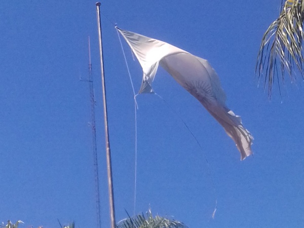 Indignación en Los Hornos por el estado deplorable de una bandera argentina: "Es un símbolo de toda nuestra historia"