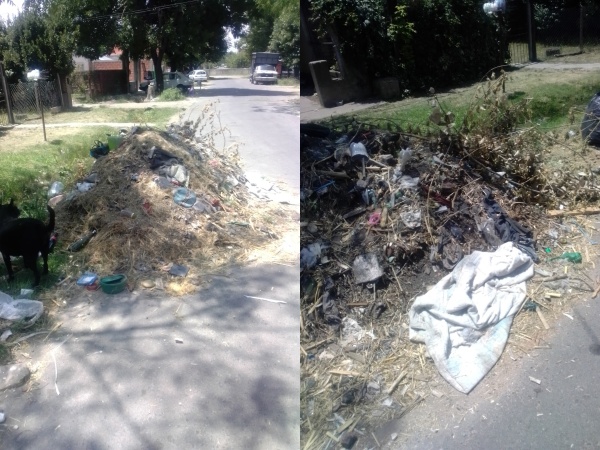 Vecinos de San Carlos están hartos de la basura: "Hace meses que el barrio es una mugre"