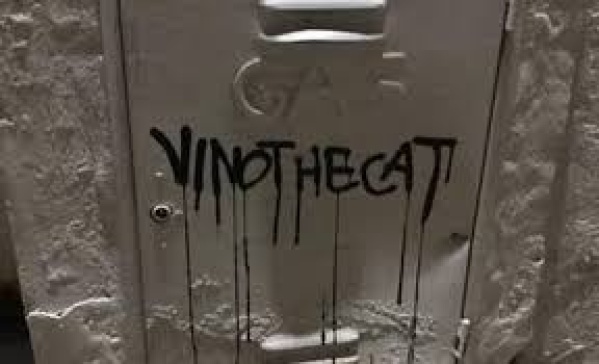 Los autores de las pintadas “Vino the cat” en La Plata, captados in fraganti