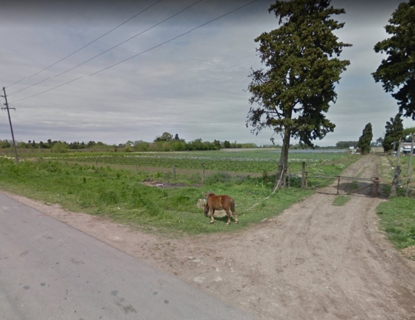 Asesinaron a un hombre durante un carrera de caballos ilegal en Los Hornos