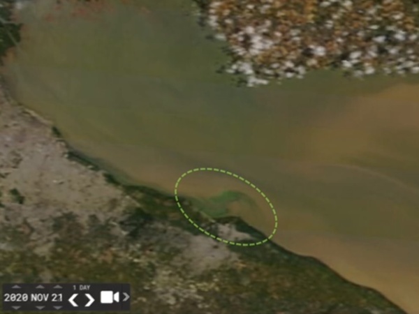 Así se fue moviendo la "mancha verde" de cianobacterias hasta llegar a Punta Lara: cómo seguirá su rumbo