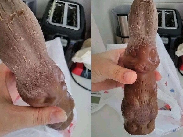 Una vecina de La Plata compró un conejo de chocolate y le vino con hongos: "El olor es espantoso"