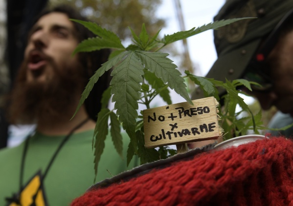 Habilitaron el registro para autorizar el cultivo de cannabis medicinal