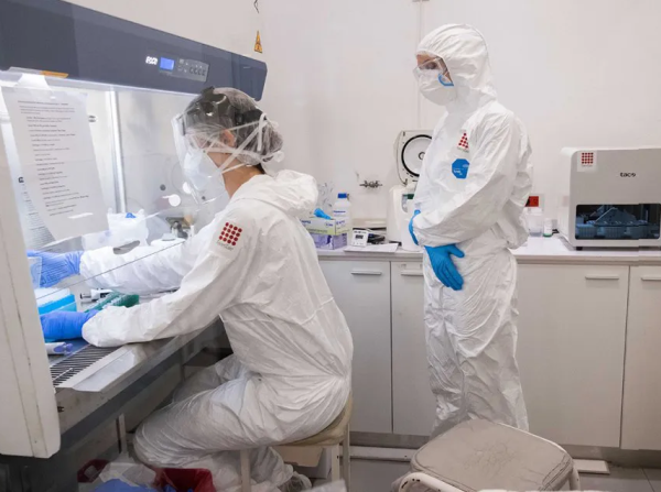 Oxford: aseguran que los contagiados de coronavirus pueden generar una inmunidad de seis meses