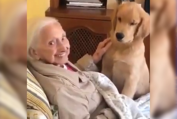 El tierno video viral de una abuela con su perrito que cautivó a todas las redes