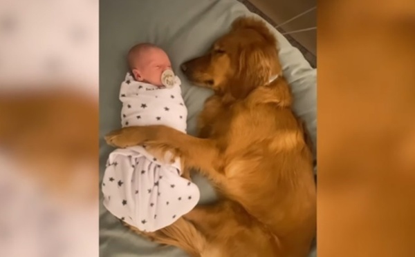 Film&oacute; los primeros meses de su hija al lado de su compa&ntilde;ero m&aacute;s fiel