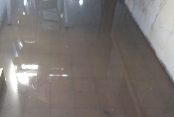 Vecinos de La Plata inundados por aguas cloacales le exigen una solución urgente al Municipio