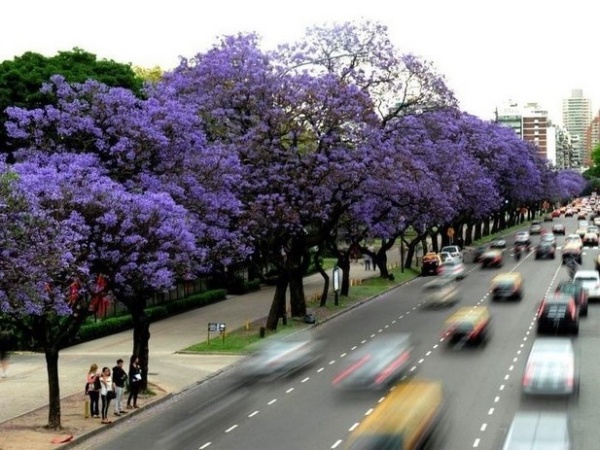 ¿2021 es el año más corto de la década y por eso los días pasan más rápido?