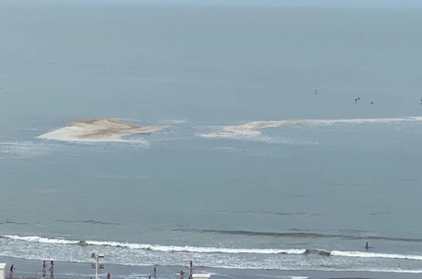 Una extraña mancha sorprendió a los turistas de Mar del Plata: ¿de qué se trata?