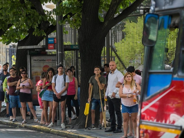 Las personas trasplantadas podr&aacute;n viajar gratuitamente en los micros de La Plata