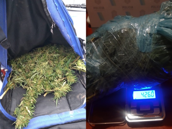 Detuvieron a un joven en La Plata por llevar casi medio kilo de marihuana en la mochila