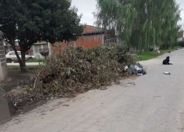 Mugre y ramas en Villa Elvira: pasaron cinco días y el municipio no apareció