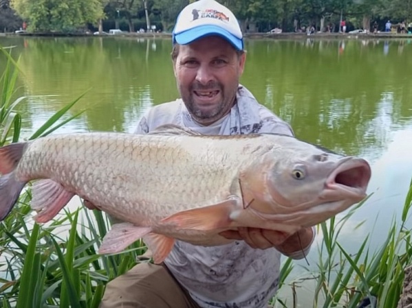 Pescaba en el Bosque platense y sacó un pez gigante: "El monstruo del Lago de La Plata"