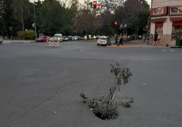 Un peligroso pozo sobre la calle preocupa a los vecinos de Parque Saavedra