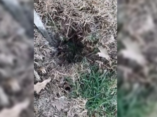 Denuncian que en Gonnet la gente se cae en pozos “fantasmas” desde hace 5 años