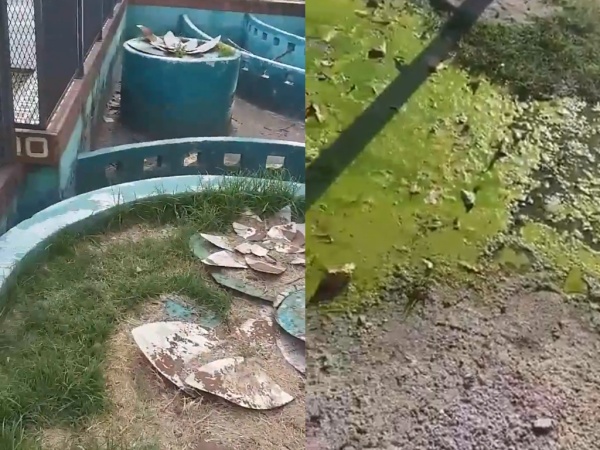 Vecina alerta por la falta de mantenimiento en Plaza Moreno