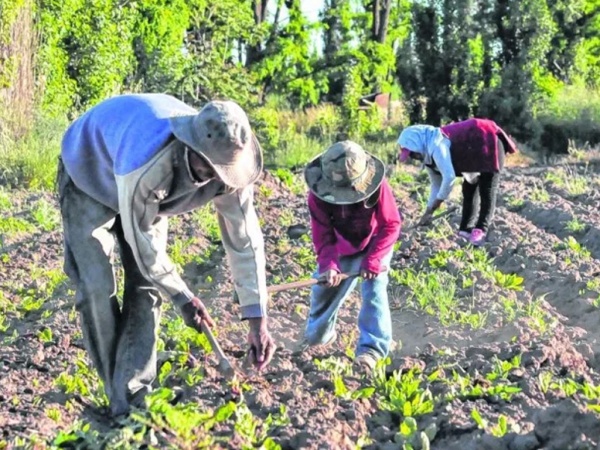Una familia de quinteros busca un terreno a pagar en La Plata antes de que su patrón los "cambie": "Podemos pagar en cuotas"