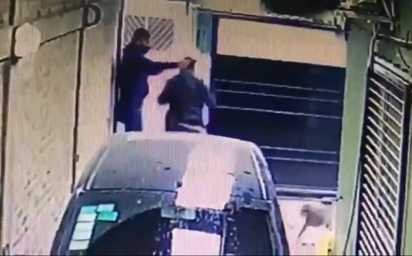 Perritos justicieros echaron a ladrones armados que entraron a robar en una casa de San Carlos