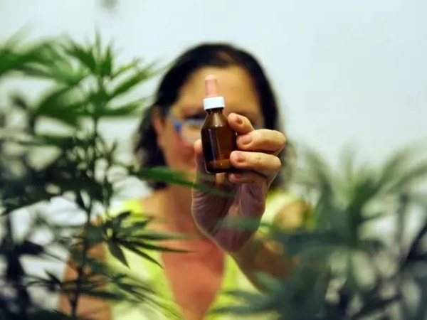 Avanza la iniciativa en Provincia sobre la regulación del uso medicinal de cannabis