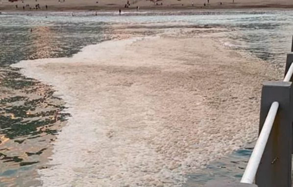 Una misteriosa mancha en el agua generó alerta en las playas de Mar del Plata