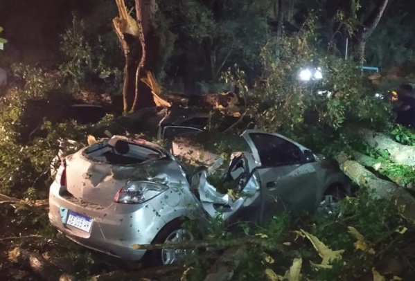 Fuerte temporal en Jujuy provoc&oacute; ca&iacute;da de &aacute;rboles, autos destruidos y da&ntilde;os en casas