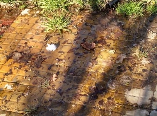 Vecinos de Villa Elvira, preocupados por una pérdida de agua que no para de crecer