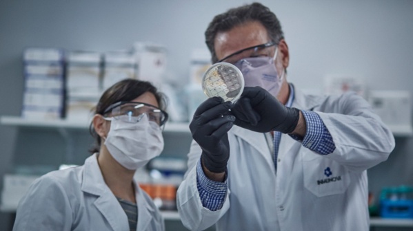 El mundo destaca al suero equino desarrollado en Argentina contra el COVID-19