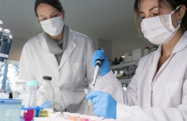 En qué casos se podrá utilizar el suero equino y el plasma contra el COVID-19