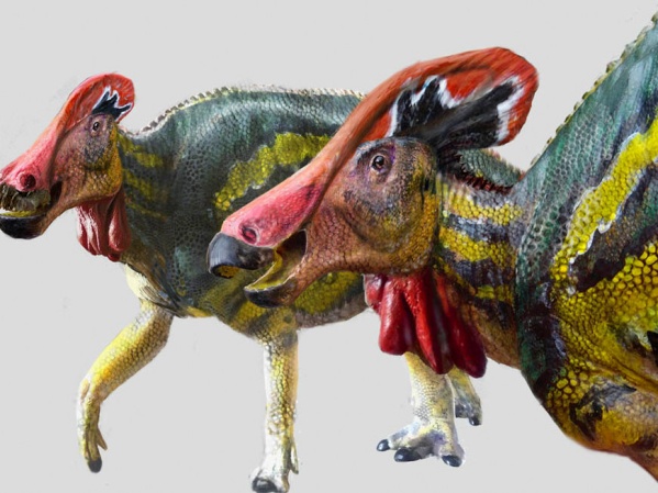 Descubrieron una nueva especie de dinosaurio: Tlatolophus, pacífico "y con función comunicativa"