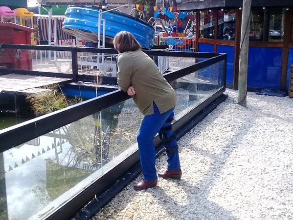 La Trattoria de Gonnet tiene el agua de su pileta podrida y temen por el dengue