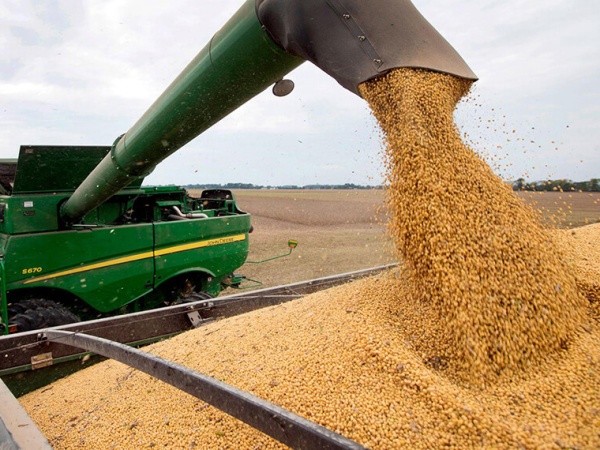 En abril se registró el precio más alto de la soja y el maíz en 8 años